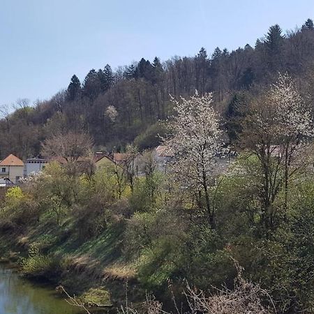 Park Daire Ljubljana Dış mekan fotoğraf