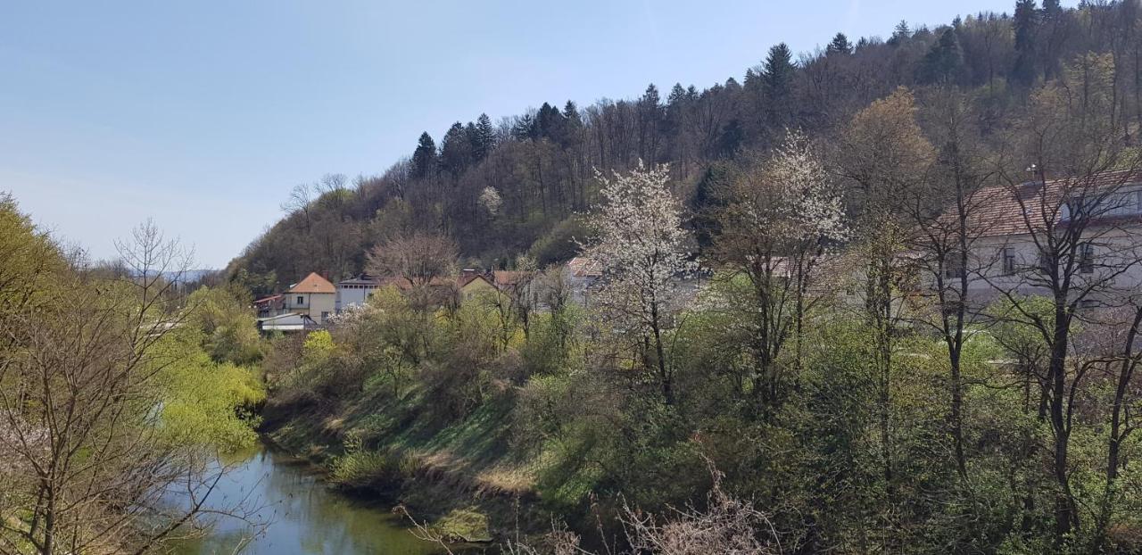 Park Daire Ljubljana Dış mekan fotoğraf